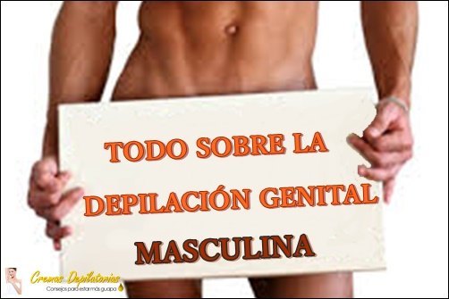 DEPILACIÓN GENITAL MASCULINA